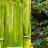Bamboo